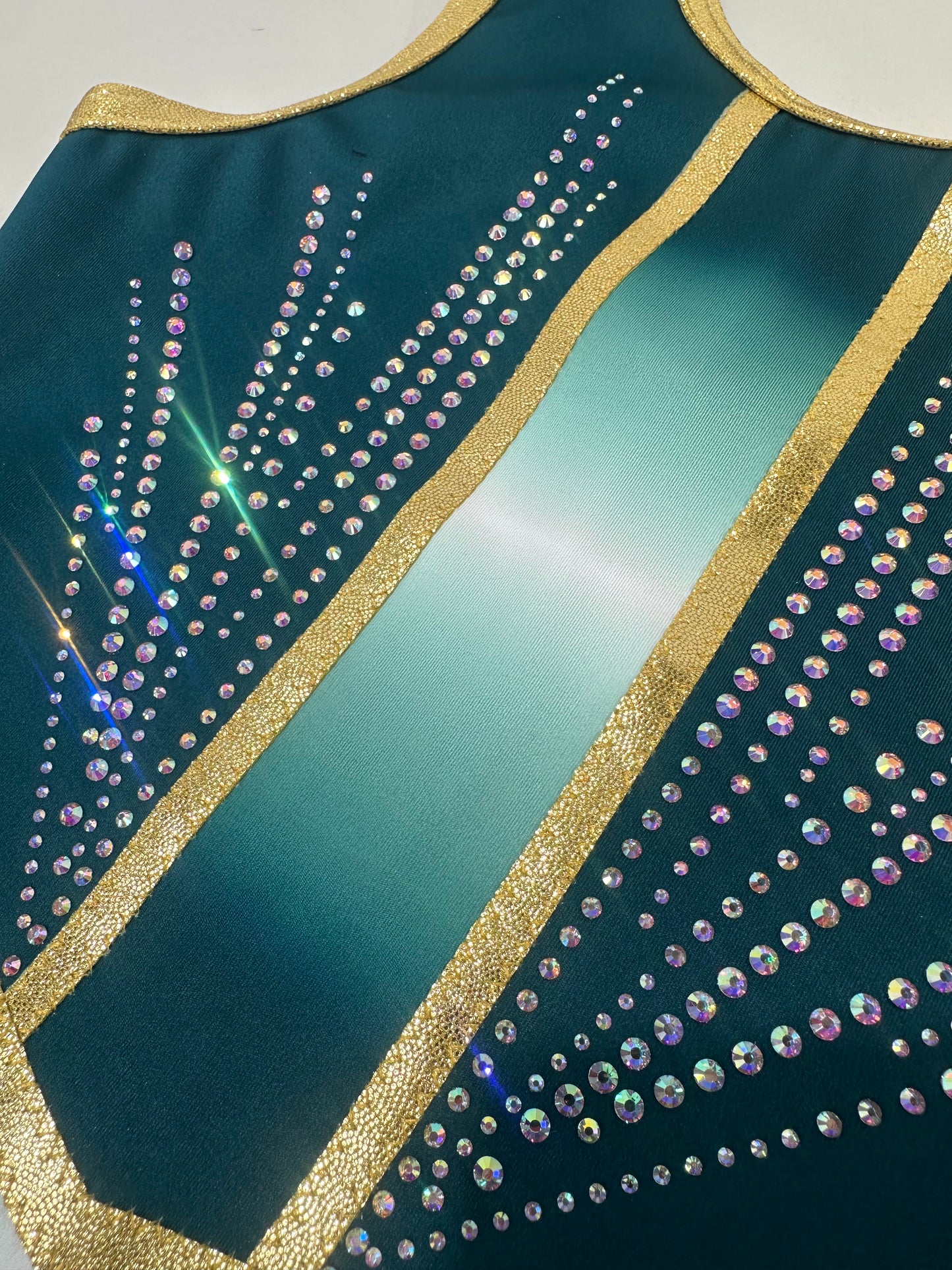 Envy Leotard