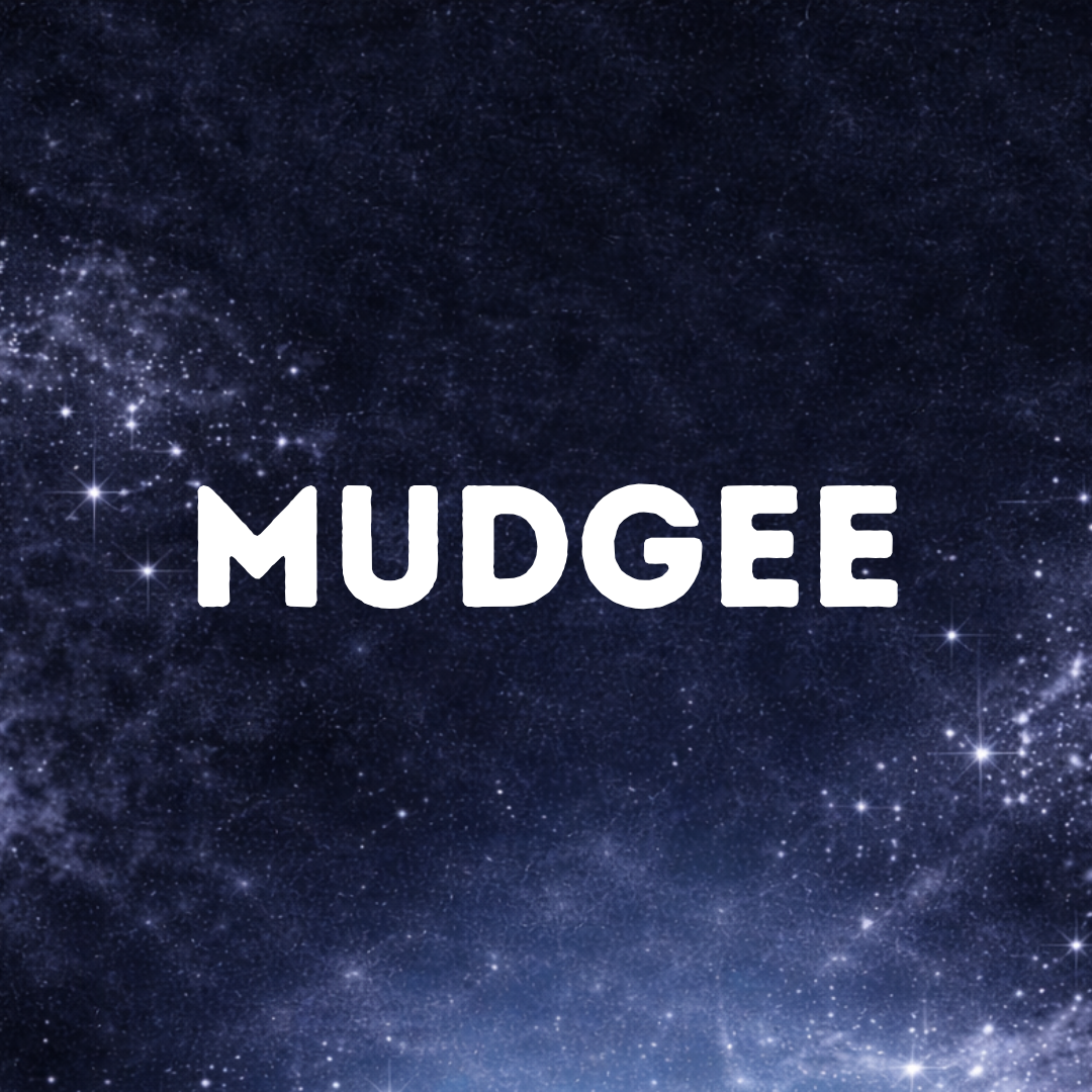 Mudgee Gymnastics