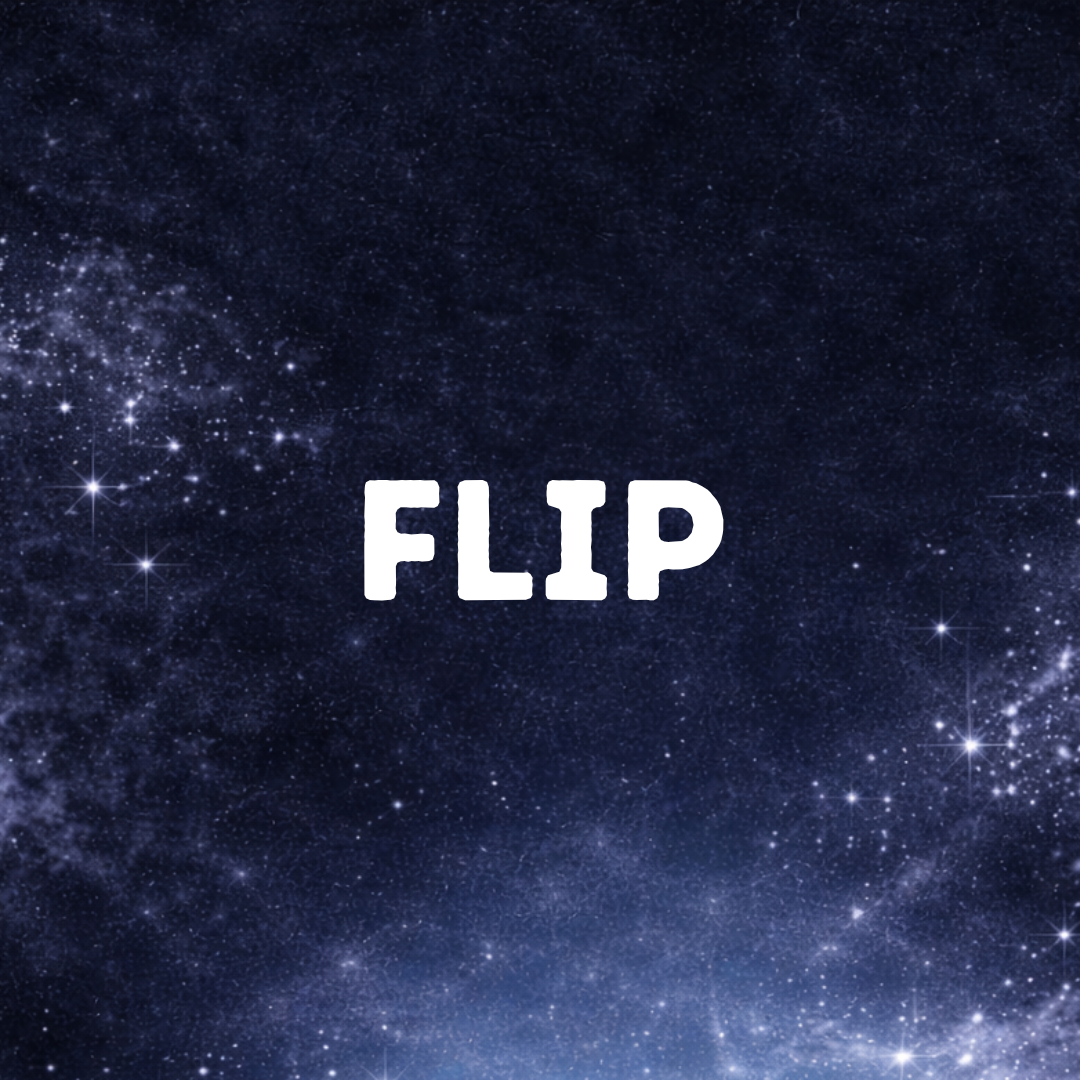 Flip Gym