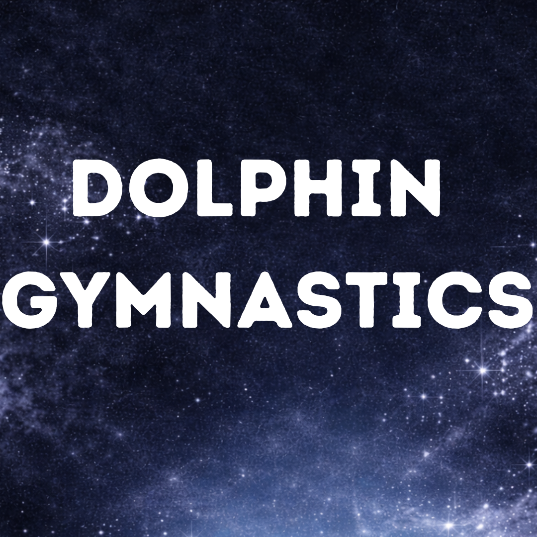 Dolphin Gymnastics